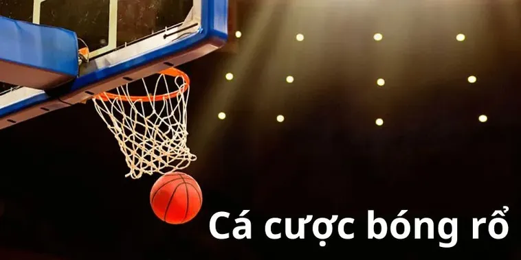 Khám Phá Thế Giới Cá Cược Bóng Rổ CAT368: Sân Chơi Đỉnh Cao Cho